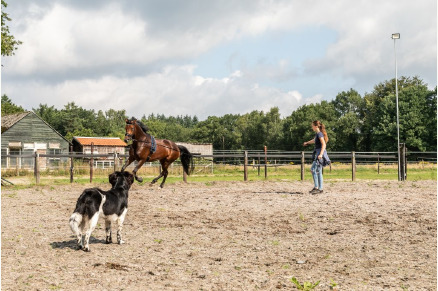 Gastenverblijven op het landgoed van Hoeve WoudStee VMP123